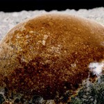 Copak by to asi mohlo být?!